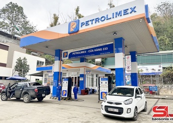 Ứng phó với biến động giá xăng, dầu