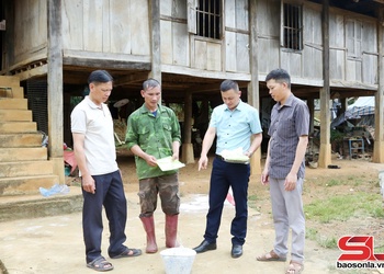 Chủ động phòng, chống dịch tả lợn châu Phi