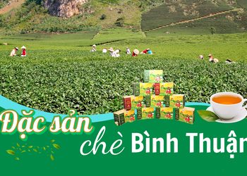 Đặc sản chè Bình Thuận