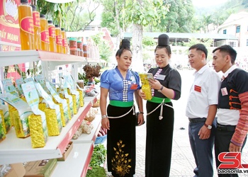 Giúp nông sản Sơn La đứng vững trên thị trường