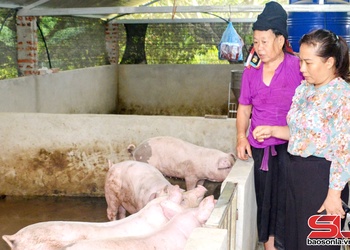 Đồng hành cùng phụ nữ phát triển kinh tế