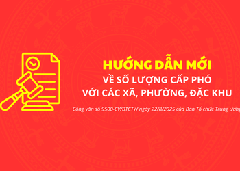 Hướng dẫn mới về số lượng cấp phó với các xã, phường, đặc khu