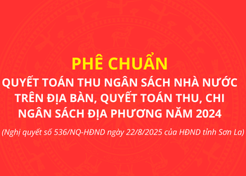 Phê chuẩn quyết toán thu ngân sách Nhà nước trên địa bàn, quyết toán thu, chi ngân sách địa phương năm 2024