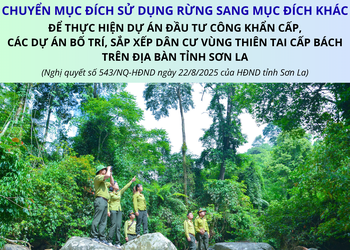 Chuyển mục đích sử dụng rừng sang mục đích khác