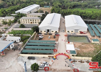 Nâng cao năng lực cạnh tranh, đồng hành cùng doanh nghiệp