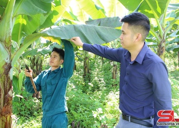 Tập trung khai thác tiềm năng, thế mạnh của địa phương