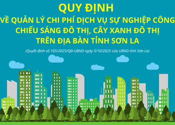 Quy định về quản lý chi phí dịch vụ sự nghiệp công chiếu sáng đô thị, cây xanh đô thị trên địa bàn tỉnh Sơn La
