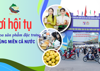 Nơi hội tụ tinh hoa sản phẩm đặc trưng các vùng miền cả nước