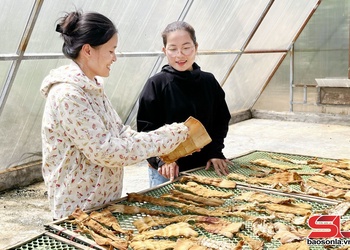 Phụ nữ Xuân Nha thi đua phát triển kinh tế