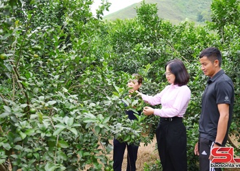 Hiệu quả từ nguồn vốn vay giải quyết việc làm tại Mường Cơi