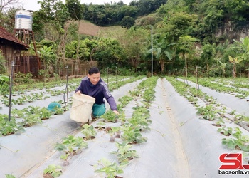 Khởi sắc vùng đồng bào dân tộc thiểu số