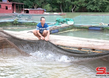Tạ Khoa nỗ lực giảm nghèo bền vững