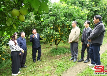 Nâng cao năng lực số cho HTX