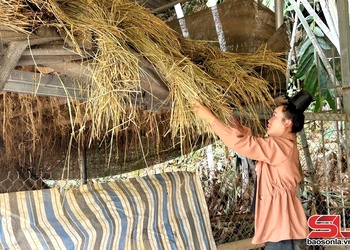 Phòng chống rét cho đàn vật nuôi