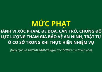 Mức phạt hành vi xúc phạm, đe dọa, cản trở, chống đối lực lượng tham gia bảo vệ an ninh, trật tự ở cơ sở