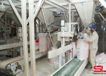 Hỗ trợ doanh nghiệp nhỏ và vừa