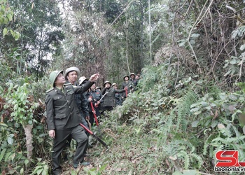 Giữ những cánh rừng thêm xanh