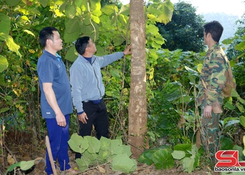 Chiềng Sại thực hiện tiêu chí thu nhập