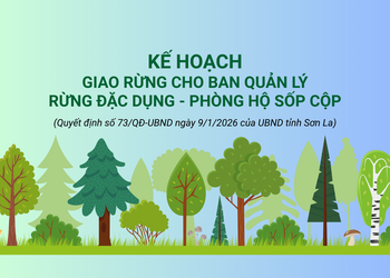 Kế hoạch giao rừng cho Ban quản lý rừng Đặc dụng - Phòng hộ Sốp Cộp
