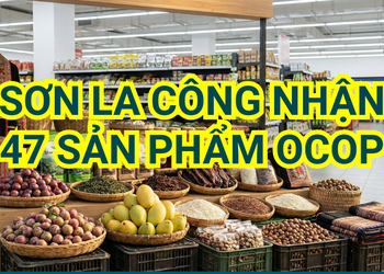Sơn La công nhận 47 sản phẩm OCOP