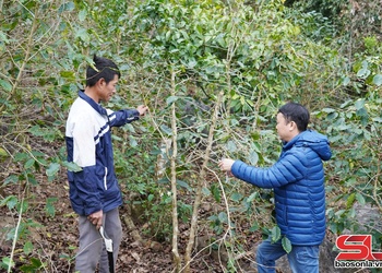 Khơi thông dòng chảy khoa học kỹ thuật ra đồng ruộng