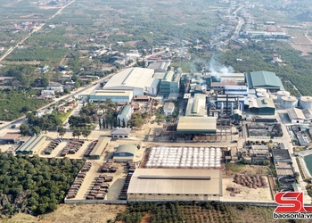 Phát triển kinh tế gắn với bảo vệ môi trường