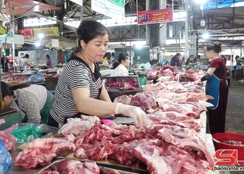 Giá lợn hơi tăng, người chăn nuôi phấn khởi