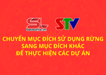 Chuyển mục đích sử dụng rừng sang mục đích khác để thực hiện các dự án