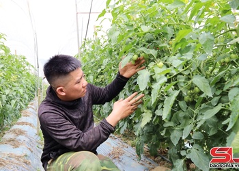 Khát vọng “đánh thức” tiềm năng vùng đất Ngọc Chiến