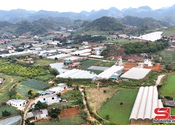 Nghị quyết đúng, trúng giúp nông nghiệp “nở hoa”