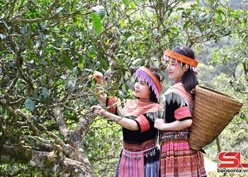 “Dân vận khéo” ở xã vùng cao Tà Xùa