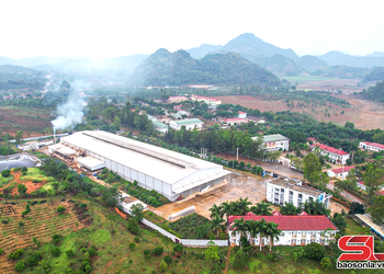 Xây dựng hệ sinh thái đầu tư bền vững