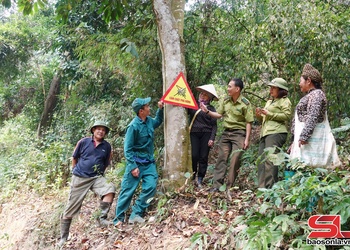 Bám cơ sở, lan tỏa thông điệp giữ rừng