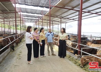 Bảo vệ đàn gia súc, gia cầm thời điểm giao mùa