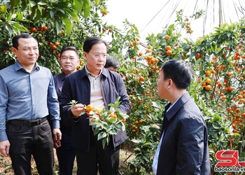Hành trình trở thành điểm sáng nông nghiệp:
Kỳ 1 - Quyết sách trúng, quyết tâm cao