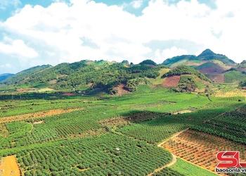 Hành trình trở thành điểm sáng nông nghiệp:
Kỳ 2 - Khẳng định vai trò trụ đỡ của nền kinh tế