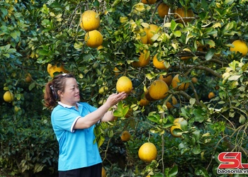 Đa dạng và nâng cao giá trị các loại nông sản