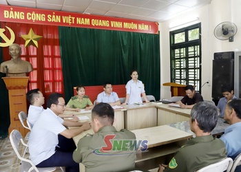 Thực hiện hiệu quả chính sách chi trả dịch vụ môi trường rừng