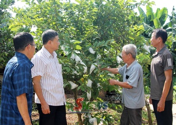 Những cựu chiến binh trong thời bình