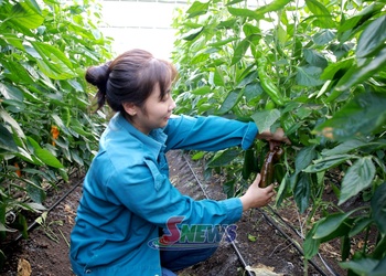 Bứt phá từ liên kết sản xuất gắn với du lịch trải nghiệm