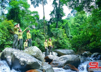 Ngăn chặn tình trạng phát vén rừng làm nương