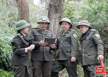 Ứng dụng công nghệ số trong quản lý, bảo vệ rừng