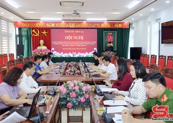 Giám sát công tác lãnh đạo, chỉ đạo bầu cử tại phường Tô Hiệu và Chiềng Cơi