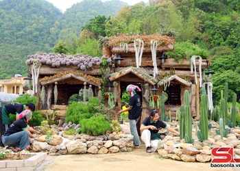 Chợ Sen đá trên cao nguyên