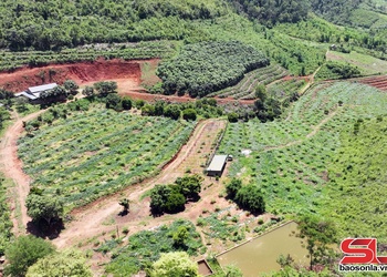 Phát huy hiệu quả mô hình HTX ở Xuân Nha