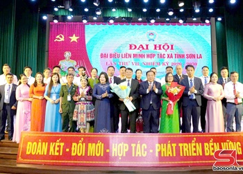 Nâng cao vai trò kinh tế tập thể trong kỷ nguyên mới