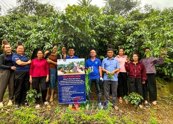 Bước chuyển đổi xanh, để nâng cao sức cạnh tranh