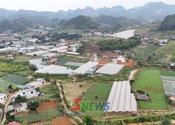 Thúc đẩy nông nghiệp phát triển theo hướng xanh và bền vững