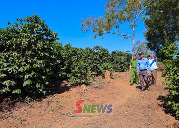 Sẵn sàng cho Giải chạy Marathon “Arabica” tỉnh Sơn La năm 2026