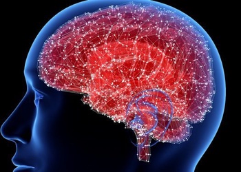 Mô hình mô não 3D mở ra hy vọng mới cho bệnh nhân Alzheimer